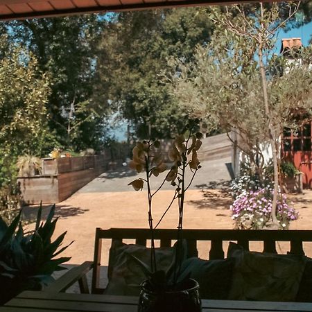 Casa Magnolia Villa Dosrius Bagian luar foto